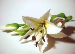The dragon had swallowed the clip, but it had gotten stuck in its throat! White Lily Hair Clip Handmade With Love Oriflowers