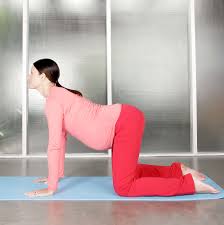 In the cow pose, avoid crunching your neck by looking upward; Cat Cow The Yoga Emergency Rescue Remedy For Pregnancy Labor Sleep Kristeneykel Com