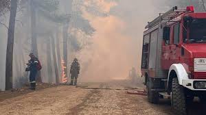 Φωτιά ξέσπασε το βράδυ του σαββάτου σε δασική έκταση στα μέγαρα. Fwtia Ston Sxino Mainetai Ane3elegkth H Pyrkagia Konta Sta Megara Deyterh Dyskolh Nyxta Me Isxyroys Anemoys Neo Mhnyma Apo To 112
