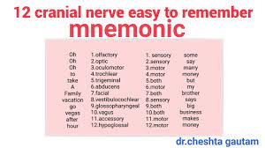 Anyone else know this one? 12 Cranial Nerves Mnemonic Easy To Remember Youtube