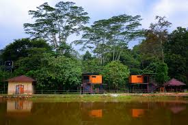 There are 10 named mountains in bukit lagong forest reserve. Taman Rimba Bukit Lagong Lokasi Riadah Mendamaikan Carigold Forum