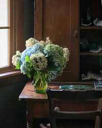 Matthew Dandy Mdandyphoto Instagram Photos And Videos Flowers Homegrown Instagram