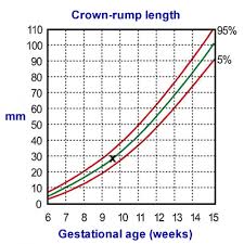 chart plotting in pregnancy