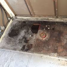 Our service begins with extensive pest inspections of the entire property and surrounding area. Building And Pest Inspections Reports Sydney Doric Property Inspections