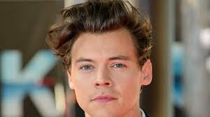 Полное имя — гарри эдвард стайлс (harry edward styles). Harry Styles Soll Das Model Kiko Mizuhara Daten