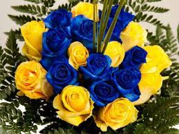Flowers are red, flowers are white, they are blue and yellow, they are so bright1. Yellow Blue Roses Blue Flower Arrangements Royal Blue Flowers Bride Flowers