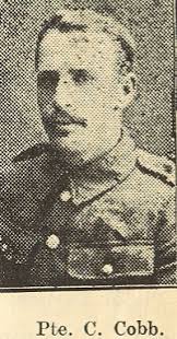 Search for "Cobb" in lastname