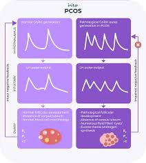 High LH Levels: Common Causes and Next Steps