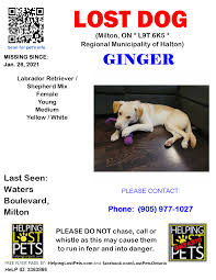 Lost and Found Pets of Ontario