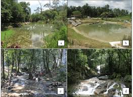 You can do overnight camping there at a affordable fee (rm10/=) per camping spot. Image Of Four Geological Sites Chosen For The Study Namely The Sungai Download Scientific Diagram