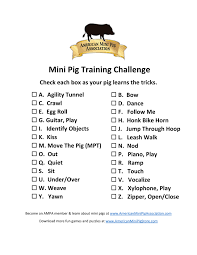This fun, upbeat dance move works well with house music. Ampa Mini Pig Training Alphabet Challenge American Mini Pig Online Store