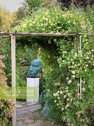 We did not find results for: Clematis Bill Macke Stock Photo By Mark Bolton Image 0202649