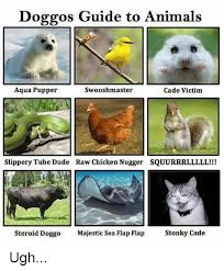 Doggos Guide To Animals Aqua Pupper Swooshmaster Cade Victim Slippery Tube Dude Raw Chicken Nugger Squ Funny Animal Names Funny Animal Jokes Funny Animal Memes