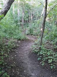 Qw is furniture store that specializes in amish furniture and other premium quality home furnishings. Eastwood Mountain Bike Trail Rochester Minnesota