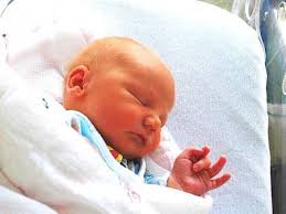 Fotogalerie: Miminka 25.1.