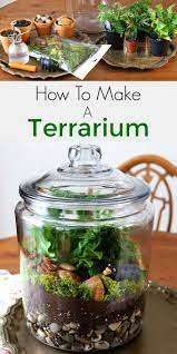 Diy Terrarium A Woodland Version Best Terrarium Plants Diy Succulent Terrarium How To Make Terrariums