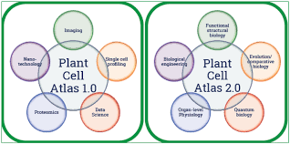 Towards Building A Plant Cell Atlas Abstract Europe Pmc