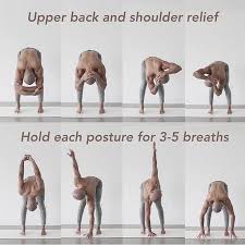 Upper Back And Shoulders Relief Sportsday Train Playing Sporty Grass Prilaga Lifestyle Yoga Action Win In 2020 Restorative Yoga Relaxing Yoga Yoga Sequences