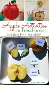 Apple Activities For Preschoolers Science Free Printables