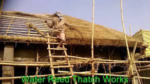 Although not as popular here in the states joe will always have fond memories of his learning experience. Thatch Roof Youtube
