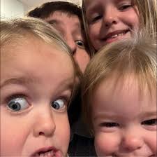 Mobile pet groomers in St. Joseph area for house visits