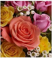Click on the name of a city to read more details about it, have more climate data history and. Discover What Flowers Are In Season Teleflora