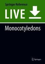 Image result for Chlorophytum bulbinifolium