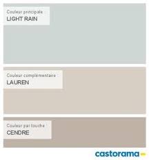 Castorama Nuancier Peinture Mon Harmonie Peinture Light Rain Satin De Colours Collection Nuancier Peinture Peinture Gris Clair Nuancier Gris