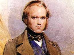 Darwin's Very Bad Day: 'Oops, We Just Ate It!' : Krulwich Wonders... : NPR