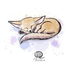 The hint and announcement for the fennec fox on animal jam coincided with the hi. Fennec Fox Sticker By Petrichorillustration White Background 3 X3 Fox Sketch Fox Drawing Sketches Fox Art Print