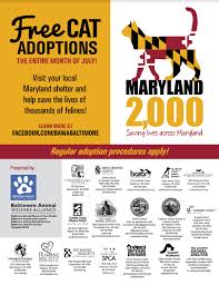 This includes per baltimore city, adopters residing in baltimore city must purchase a pet license ($10). Prince George S County Md