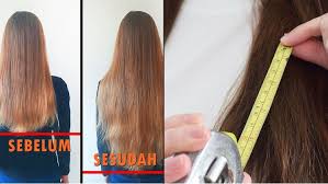 Banyak wanita menginginkan rambut tebal panjang dan pastinya sehat. 11 Cara Memanjangkan Rambut Dengan Sampo Hingga Bahan Alami Seminggu Bisa Tumbuh 30 Senti