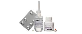 Budesonid acis nasenspray nasenspray, 10 ml. Om Entocort Tillotts Pharma Ab