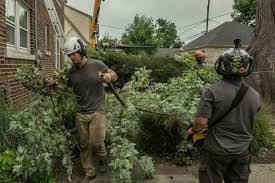 See reviews, photos, directions, phone numbers and more for colonial tree service llc locations in wauwatosa, wi. Home Forester Tree Service