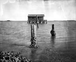 New Exhibit: Photographs of Will Fulmore, '68