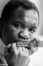 613 Johnny Tiger Stock Photos, High-Res Pictures, and Images