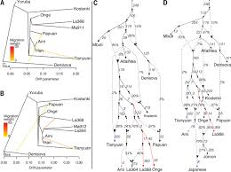 South east asia objectives [call number: The Prehistoric Peopling Of Southeast Asia Science