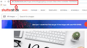 Search the desired image that you want to download and copy the url of that image; How To Download Shutterstock Images Free In 2021 Tech Lobsters