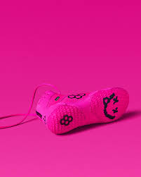 Image result for Aspilia rudis