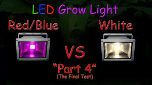 The automaker claims to have developed the fastest ai training machine in the world. White Led Vs Red Blue Led Grow Light Grow Test Part 2 The Grow Results 2016 Youtube