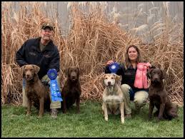 Chesapeake bay retriever puppies for sale wisconsin. Grand Oaks Chesapeakes