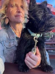 Jill Atherton's Instagram, Twitter & Facebook