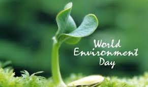 On this day, the united nations highlights the importance of our connection with mother earth through world environment day. World Environment Day 5 June Revamphomeblog