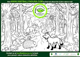 Pond walk scavenger hunt from i heart crafty things. Ballyhoura Beo Brings The Forest Indoors Visit Ballyhoura