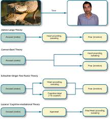 Theories Of Emotion Boundless Psychology