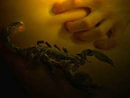 Cancer star sign, the fourth sign of the zodiac is all about home. Scorpio Sex Zodiac Sign Astrology