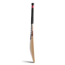 Learn what constitutes a no ball—an illegal delivery for which the fielding team is penalized—in cricket, with reasons and examples. Hunter Cricket Bat Dragonfly 360 Cricket