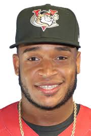 Luis Encarnacion minor league baseball statistics