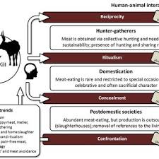 < 1 minute an estimated 99 percent of farmed animal in the us are living on factory farms at present, according to an analysis from the sentience institute (si). Pdf Animal Killing And Postdomestic Meat Production