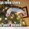 Christmas · 1 decade ago. Https Encrypted Tbn0 Gstatic Com Images Q Tbn And9gcr0mqt Wc Lqyem31e9pxtwncmvt Xeyl1ozx7gqfecxyvmcpk Usqp Cau